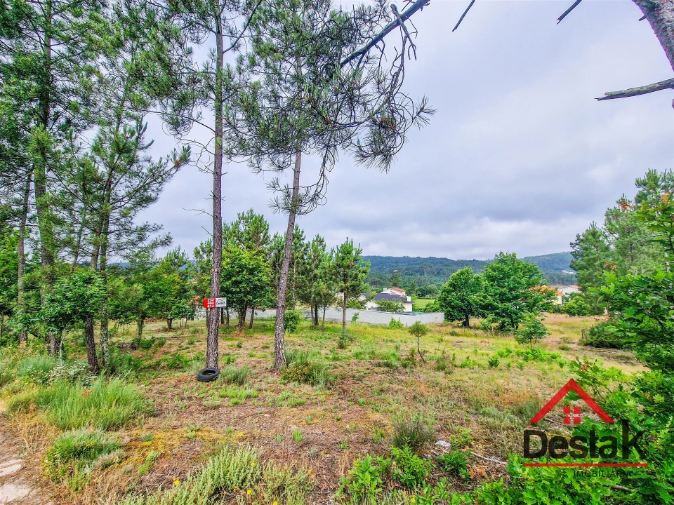 Terreno para Venda em Mamouros, Alva e Ribolhos Foto 4