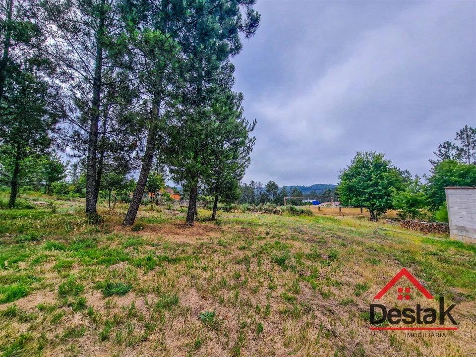 Terreno para Venda em Mamouros, Alva e Ribolhos Foto 10