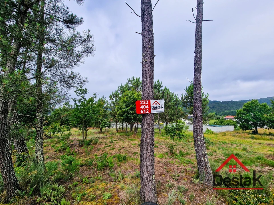 Terreno para Venda em Mamouros, Alva e Ribolhos Foto 2