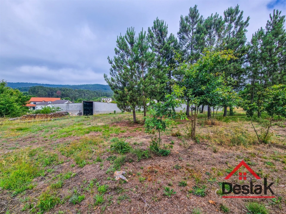 Terreno para Venda em Mamouros, Alva e Ribolhos Foto 7