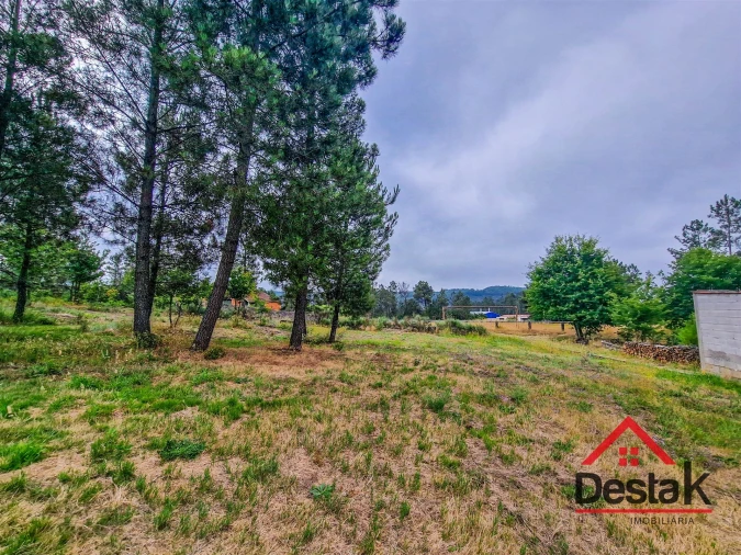 Terreno para Venda em Mamouros, Alva e Ribolhos Foto 10