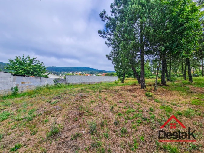 Terreno para Venda em Mamouros, Alva e Ribolhos Foto 8