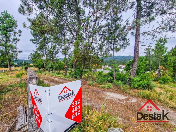 Terreno para Venda em Mamouros, Alva e Ribolhos Foto 11