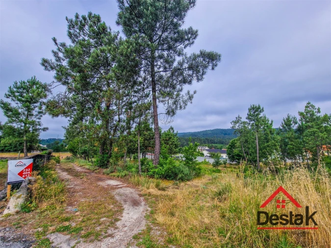 Terreno para Venda em Mamouros, Alva e Ribolhos