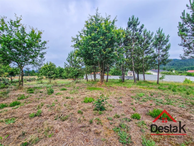 Terreno para Venda em Mamouros, Alva e Ribolhos Foto 6