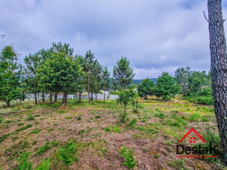Terreno para Venda em Mamouros, Alva e Ribolhos Foto 5