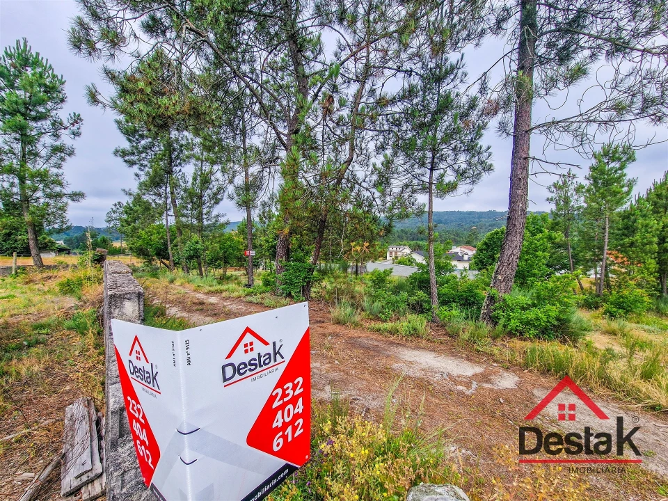 Terreno para Venda em Mamouros, Alva e Ribolhos Foto 11