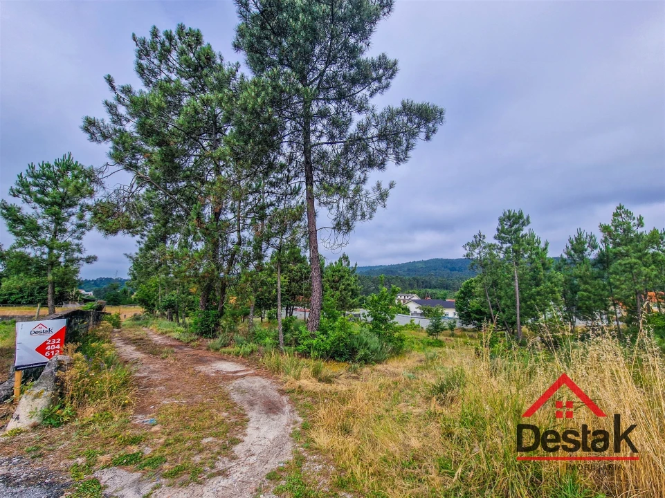 Terreno para Venda em Mamouros, Alva e Ribolhos Foto 1