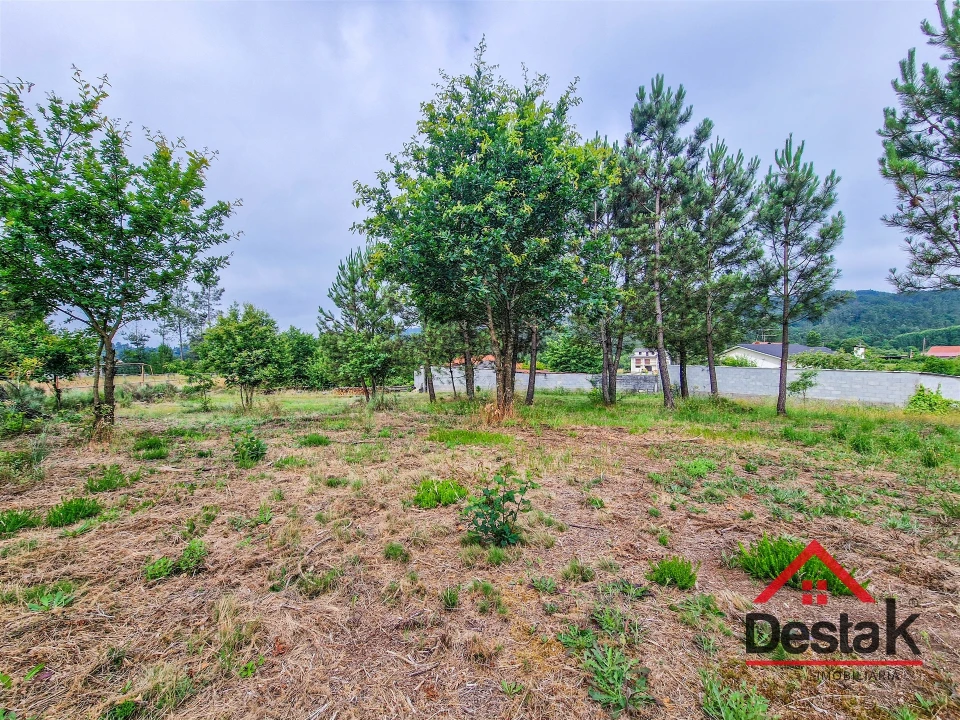 Terreno para Venda em Mamouros, Alva e Ribolhos Foto 6