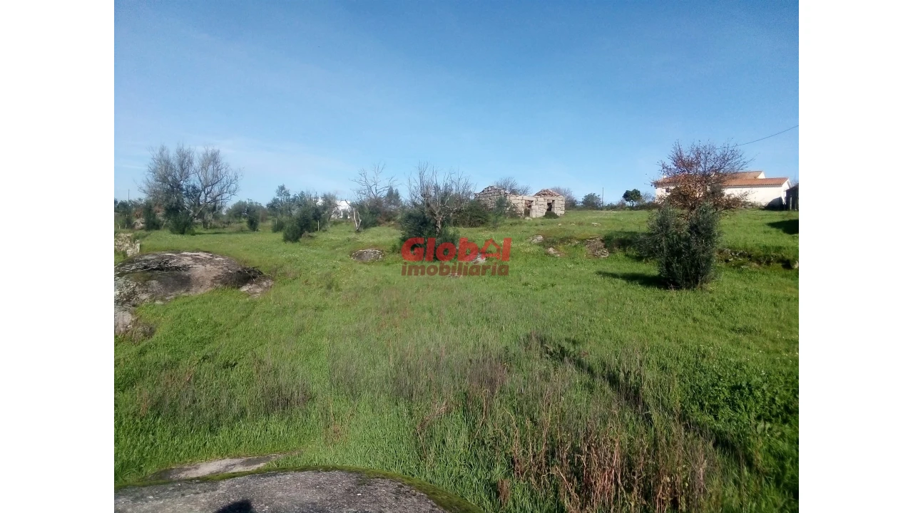 Terreno para Venda em Ervedal e Vila Franca da Beira Foto 1