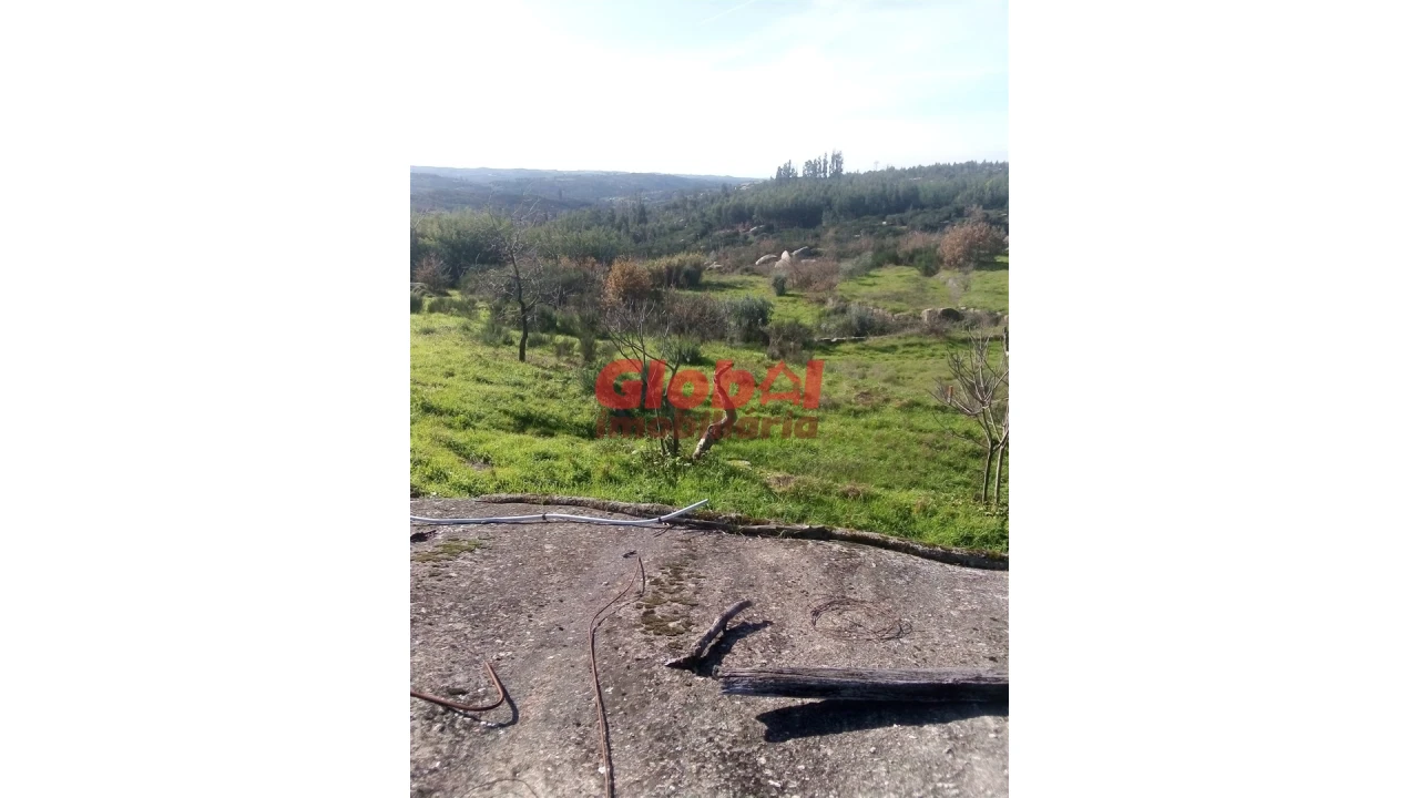 Terreno para Venda em Ervedal e Vila Franca da Beira Foto 2