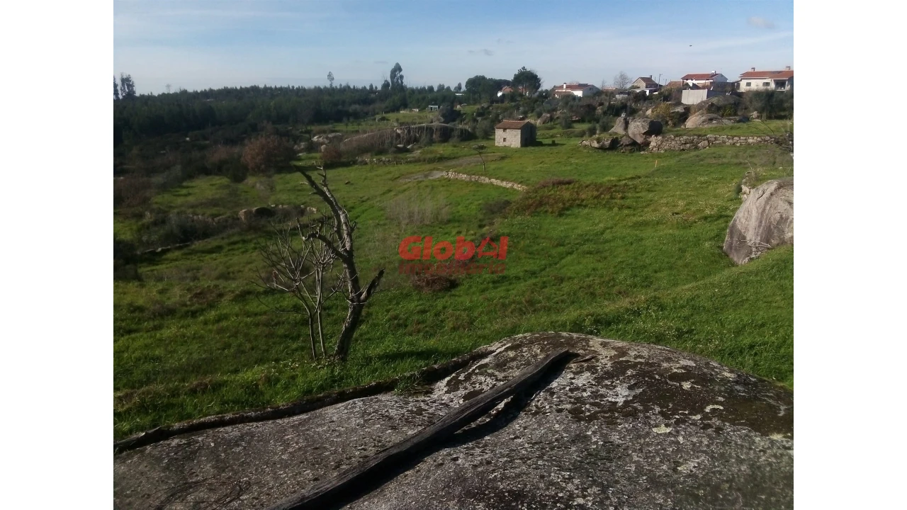 Terreno para Venda em Ervedal e Vila Franca da Beira Foto 4
