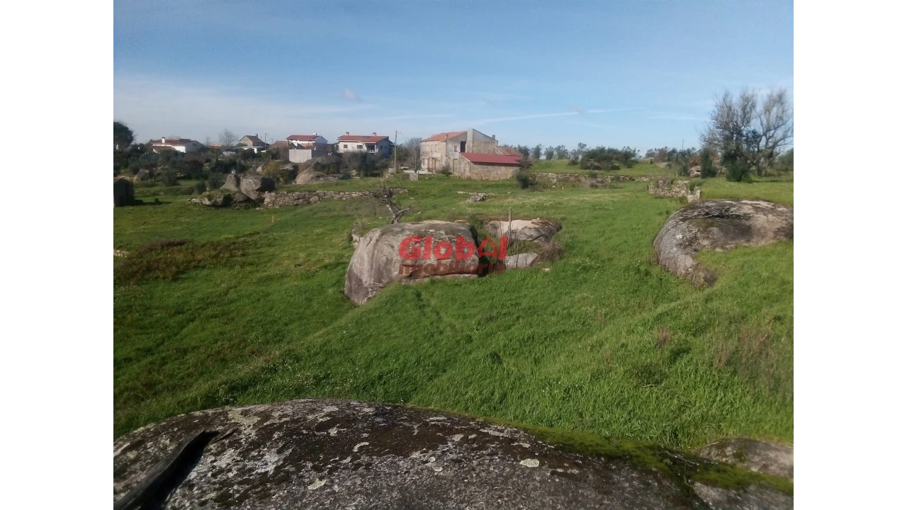 Terreno para Venda em Ervedal e Vila Franca da Beira Foto 10
