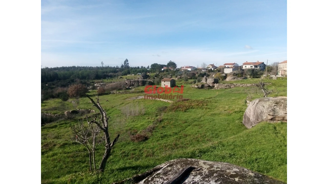 Terreno para Venda em Ervedal e Vila Franca da Beira Foto 6