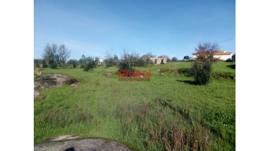 Terreno para Venda em Ervedal e Vila Franca da Beira Foto 1