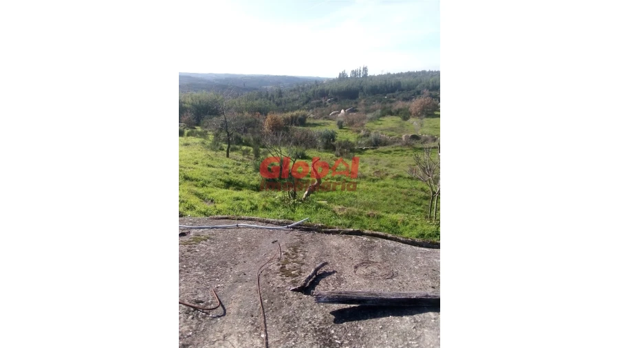 Terreno para Venda em Ervedal e Vila Franca da Beira Foto 2
