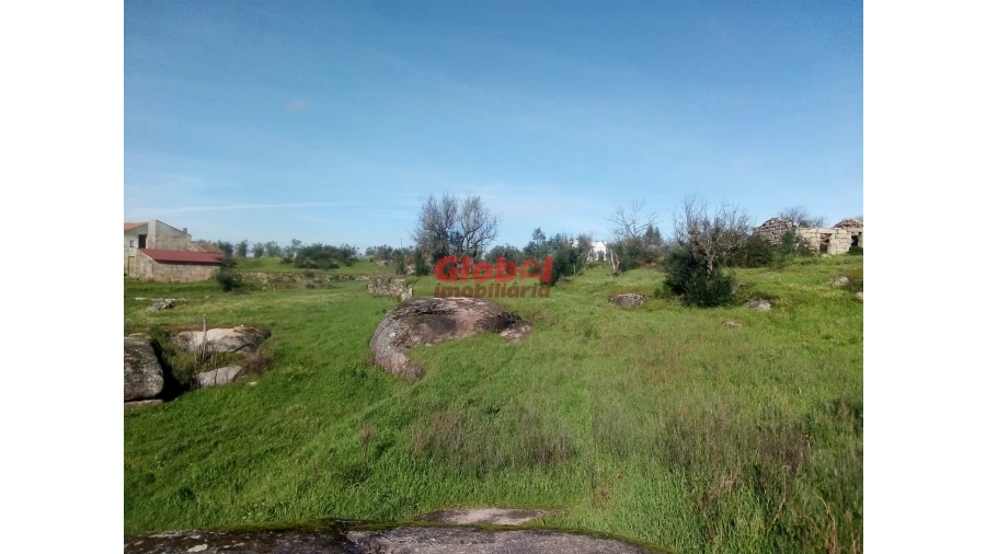 Terreno para Venda em Ervedal e Vila Franca da Beira Foto 12