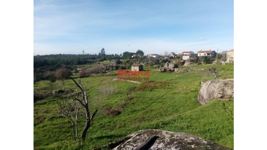 Terreno para Venda em Ervedal e Vila Franca da Beira Foto 6