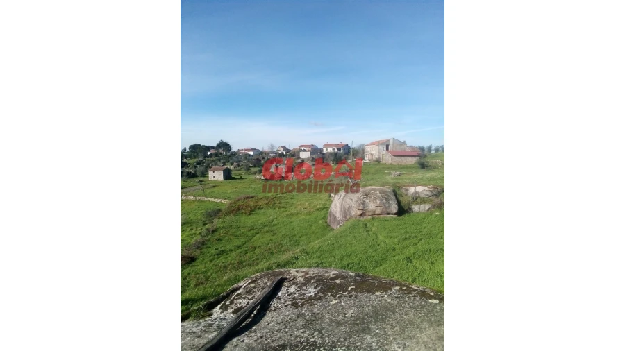 Terreno para Venda em Ervedal e Vila Franca da Beira Foto 3