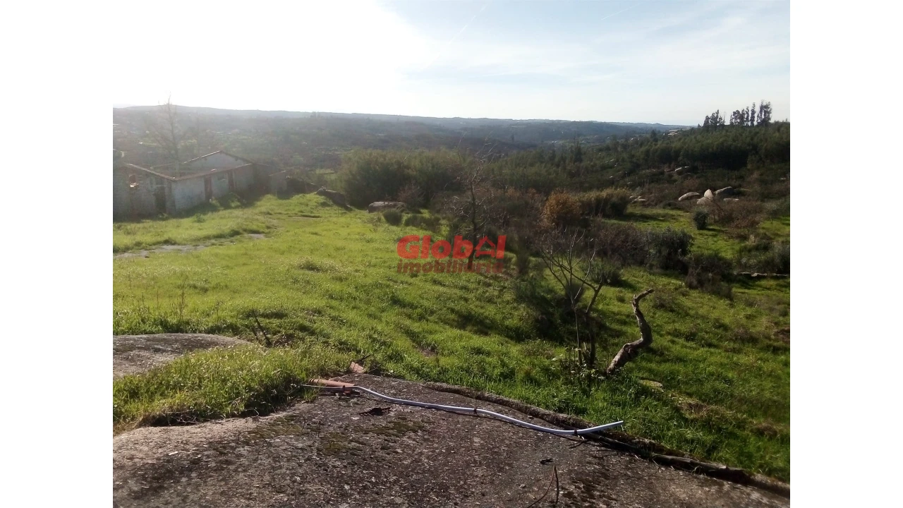 Terreno para Venda em Ervedal e Vila Franca da Beira Foto 5
