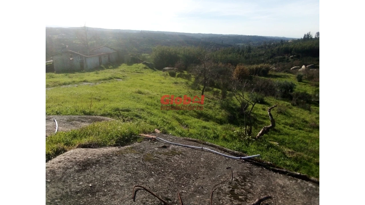 Terreno para Venda em Ervedal e Vila Franca da Beira Foto 13