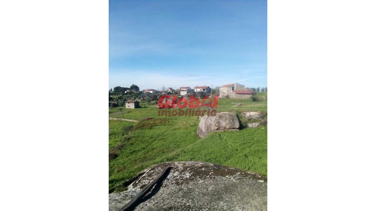 Terreno para Venda em Ervedal e Vila Franca da Beira Foto 3