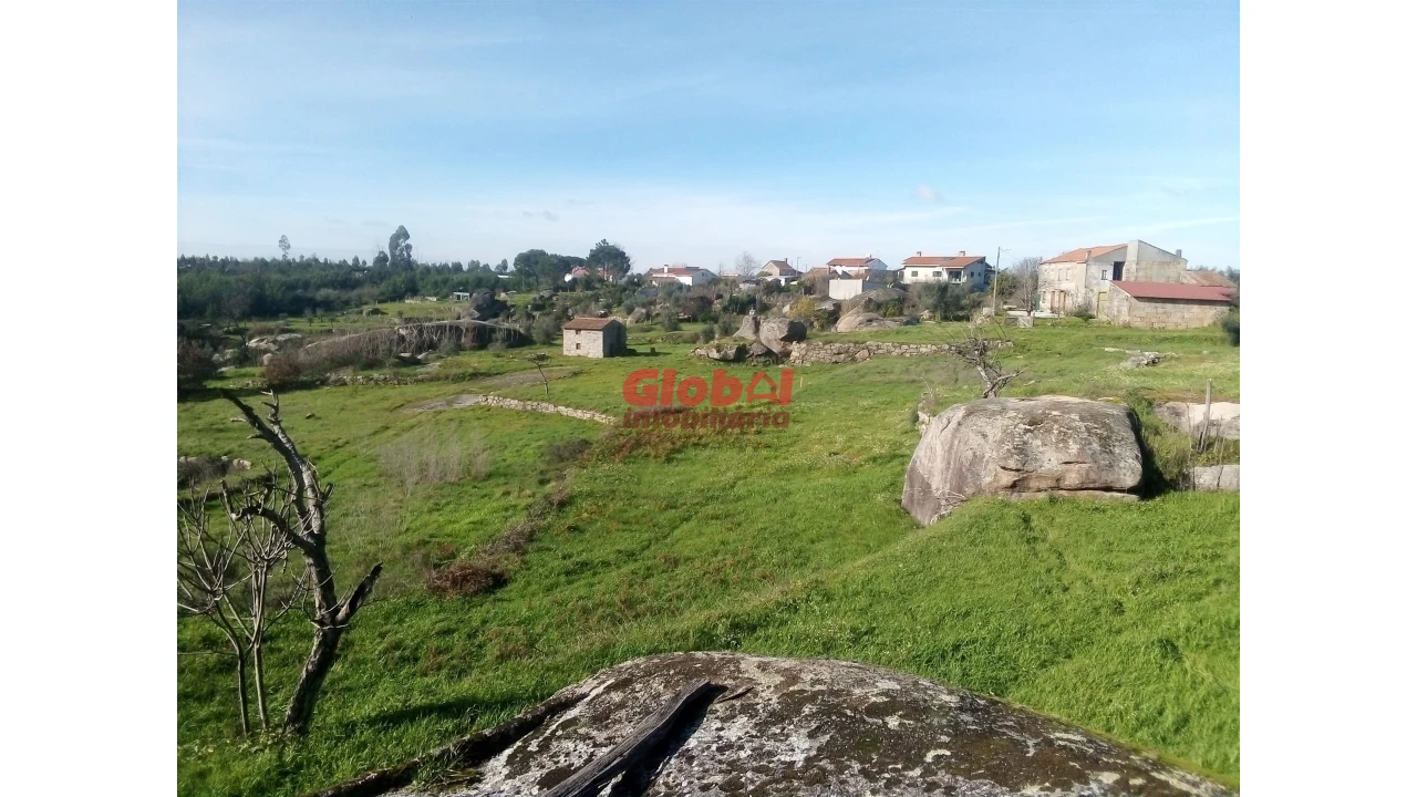 Terreno para Venda em Ervedal e Vila Franca da Beira Foto 7