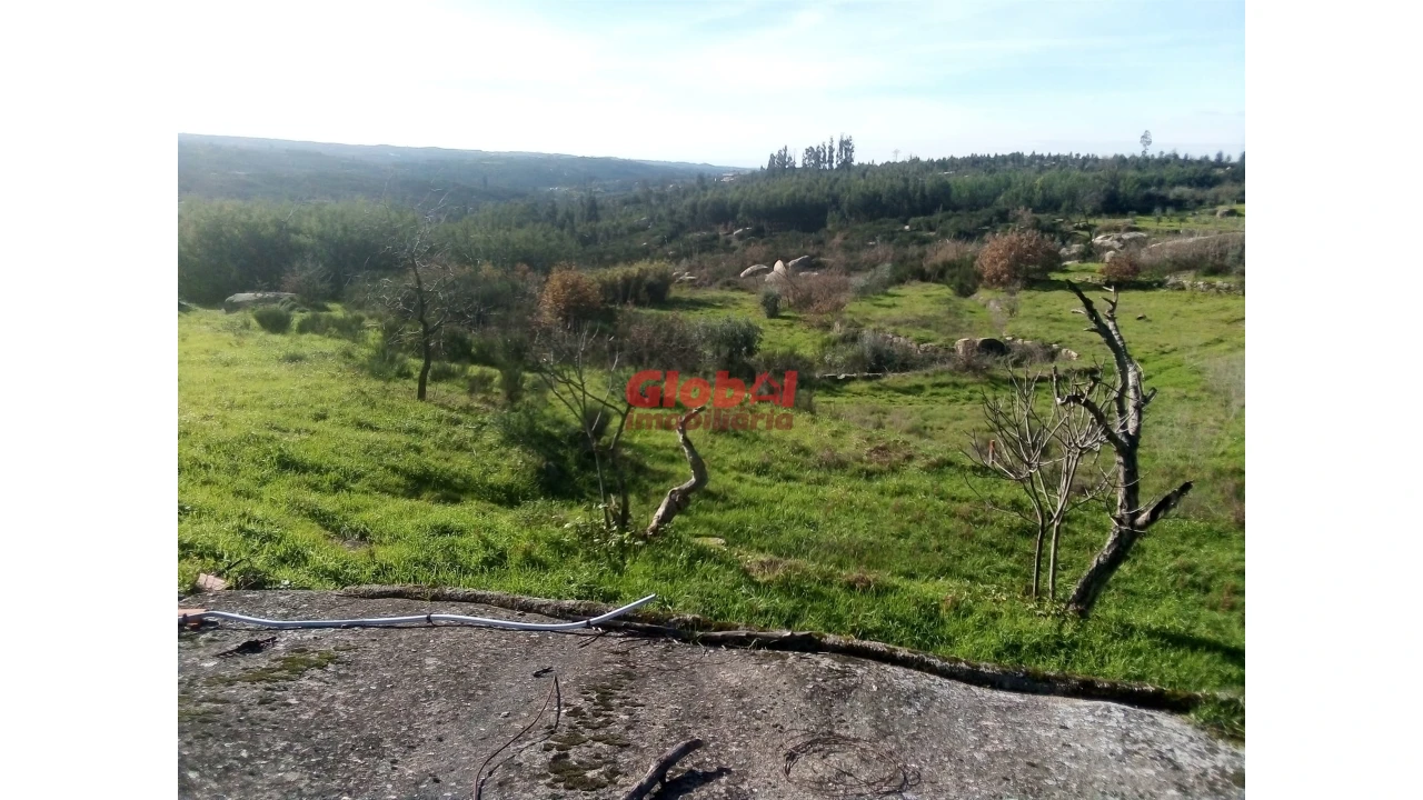 Terreno para Venda em Ervedal e Vila Franca da Beira Foto 11
