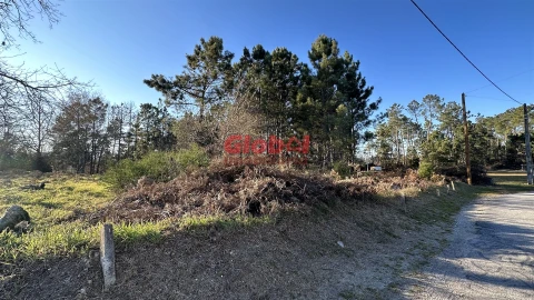 Terreno para Venda em São Cipriano e Vil de Souto
