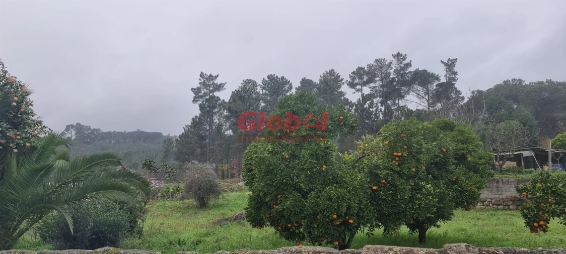 Terreno para Venda em São João de Lourosa Foto 2
