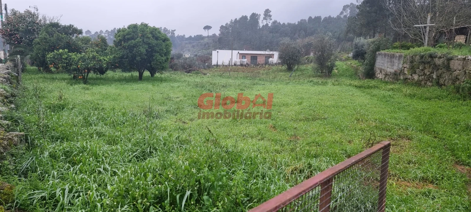 Terreno para Venda em São João de Lourosa Foto 3