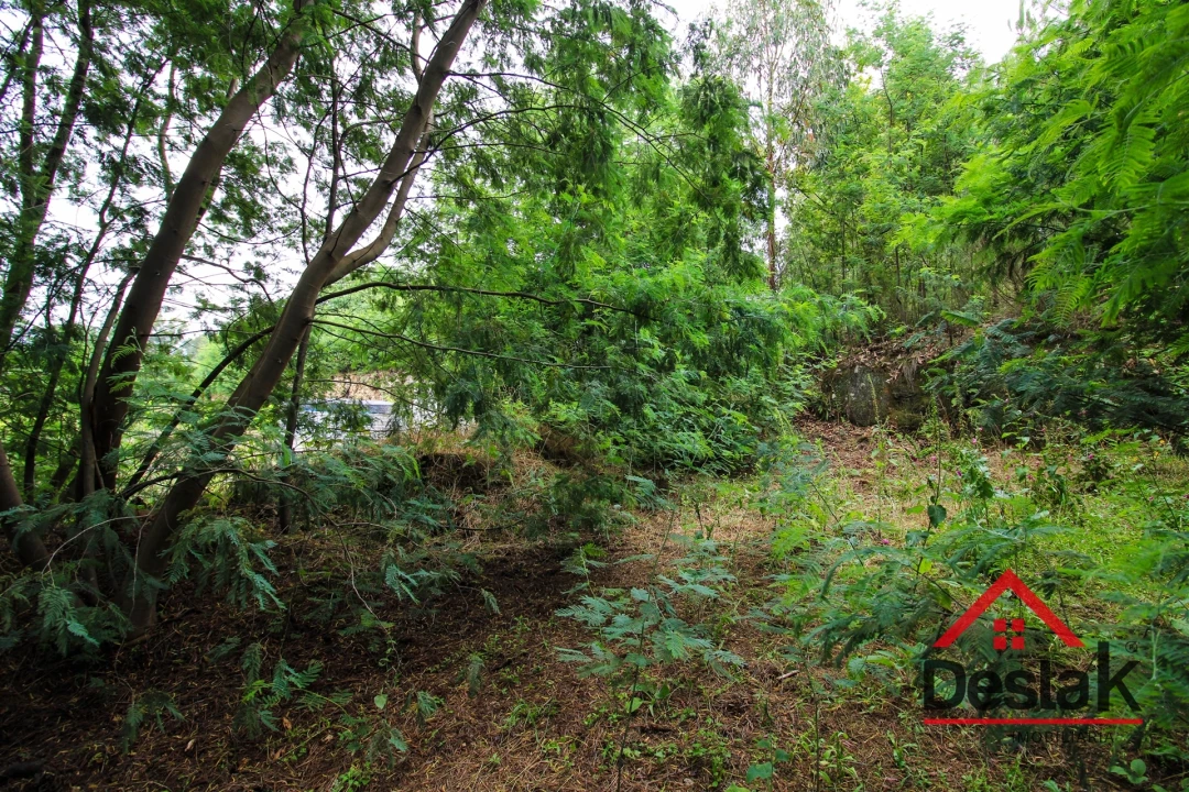 Terreno Agricola ou Rústico para Venda em São Miguel do Mato Foto 9