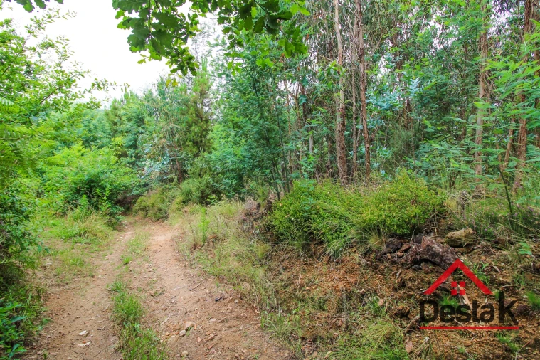 Terreno Agricola ou Rústico para Venda em São Miguel do Mato Foto 2