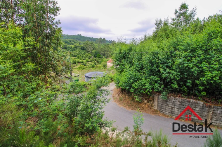 Terreno Agricola ou Rústico para Venda em São Miguel do Mato Foto 8