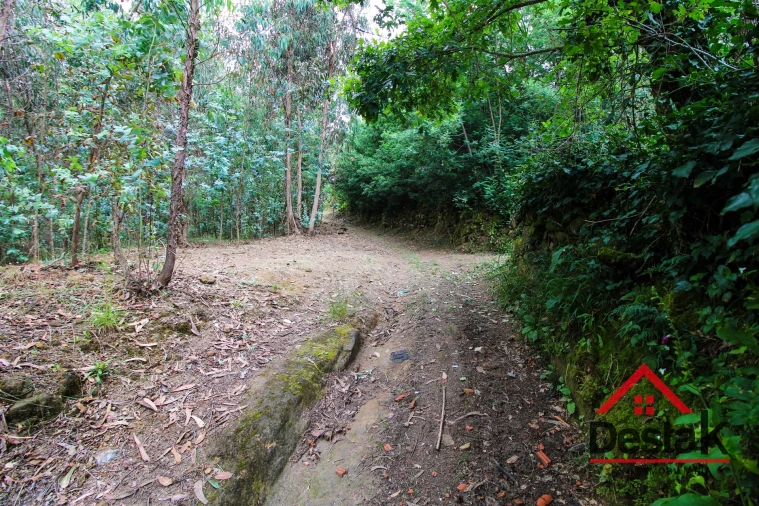 Terreno Agricola ou Rústico para Venda em São Miguel do Mato Foto 3