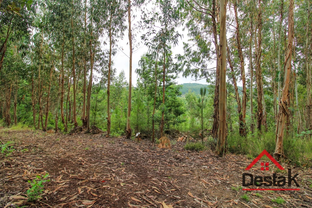 Terreno Agricola ou Rústico para Venda em São Miguel do Mato Foto 7