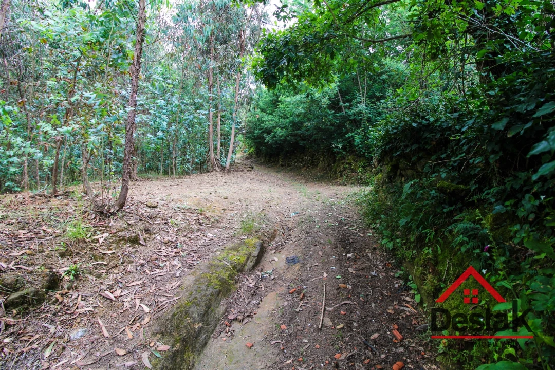 Terreno Agricola ou Rústico para Venda em São Miguel do Mato Foto 3