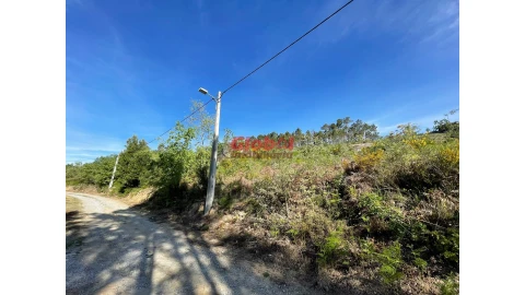 Terreno para Venda em São Pedro de France