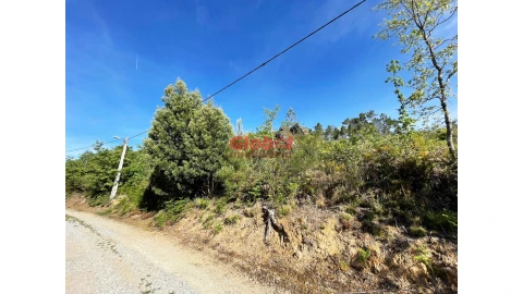 Terreno para Venda em São Pedro de France
