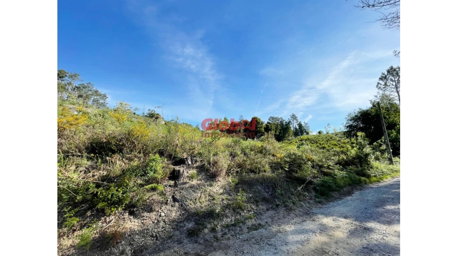 Terreno para Venda em São Pedro de France Foto 2