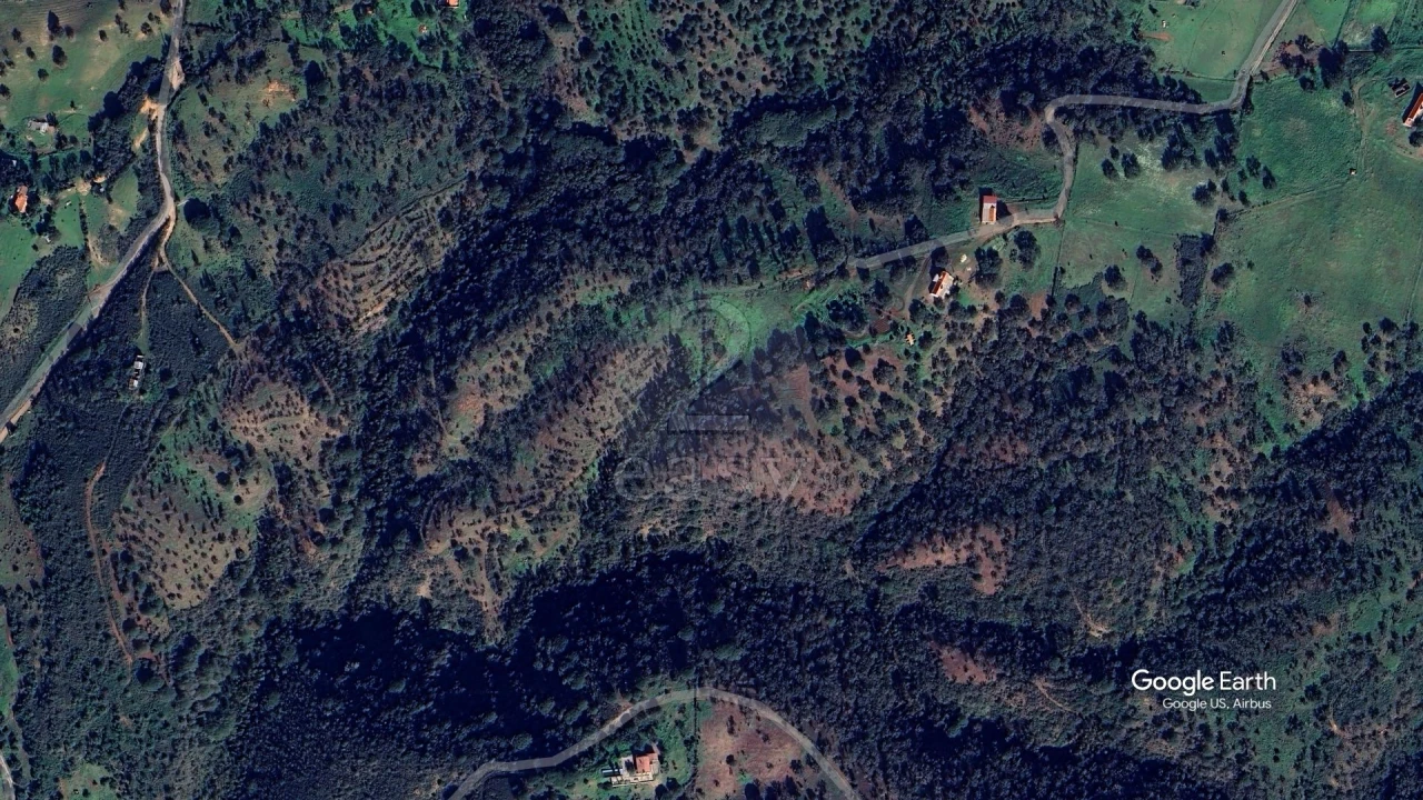 Terreno Agricola ou Rústico para Venda em São Francisco da Serra Foto 12