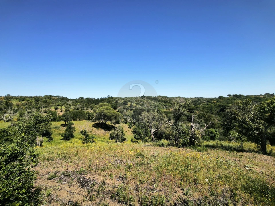 Terreno Agricola ou Rústico para Venda em São Francisco da Serra Foto 3
