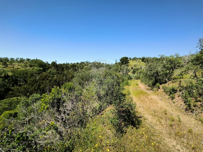Terreno Agricola ou Rústico para Venda em São Francisco da Serra Foto 8