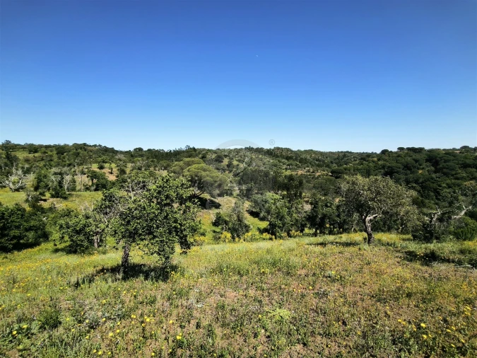 Terreno Agricola ou Rústico para Venda em São Francisco da Serra Foto 10