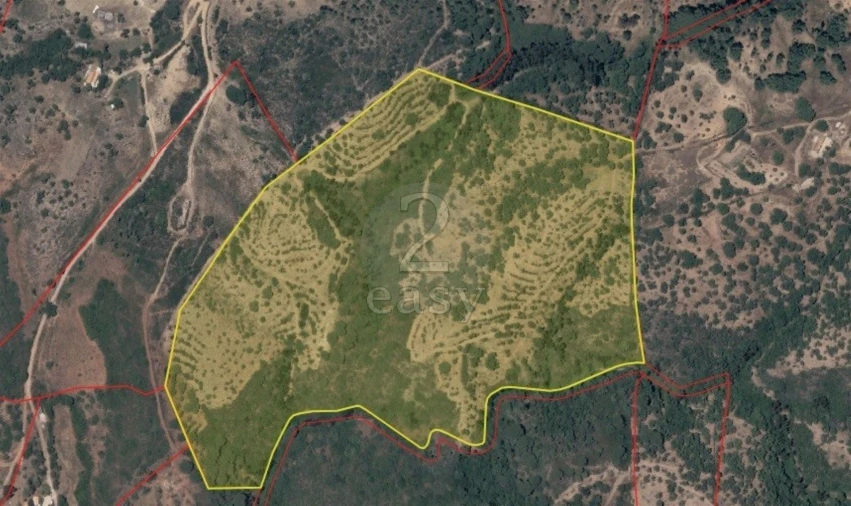 Terreno Agricola ou Rústico para Venda em São Francisco da Serra Foto 14