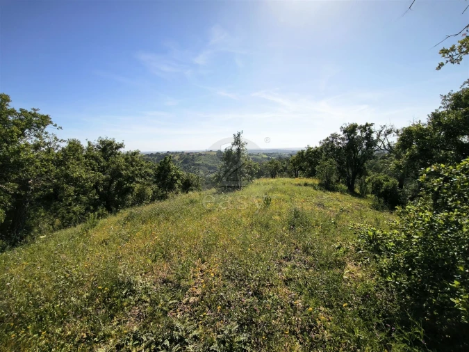 Terreno Agricola ou Rústico para Venda em São Francisco da Serra Foto 6