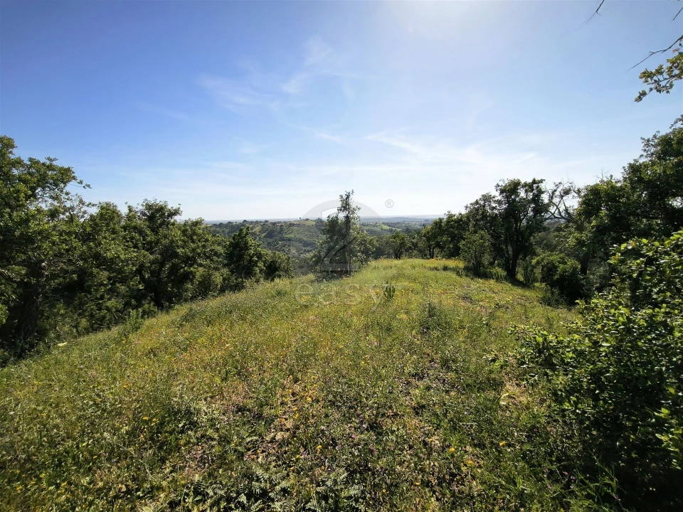 Terreno Agricola ou Rústico para Venda em São Francisco da Serra Foto 6