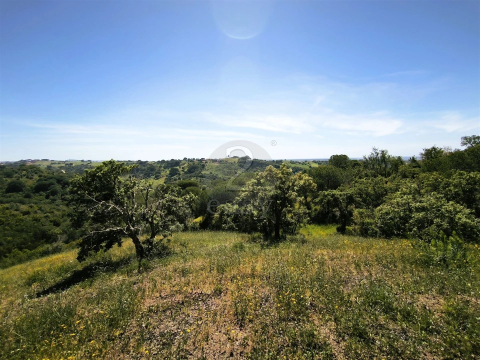 Terreno Agricola ou Rústico para Venda em São Francisco da Serra Foto 2