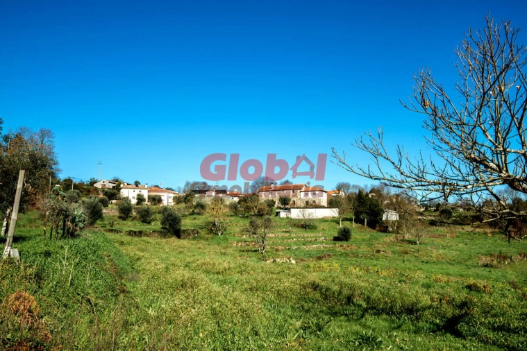 Moradia T5 para Venda em São Cipriano e Vil de Souto Foto 2