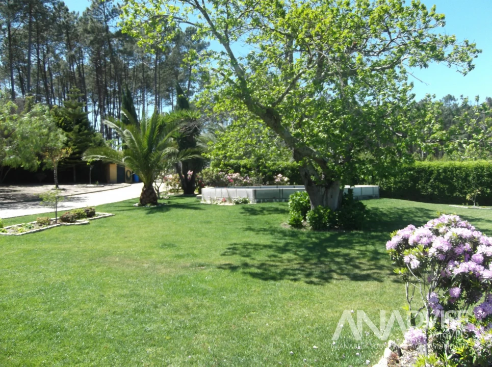 Quinta T6 para Venda em Fornos de Maceira Dão Foto 5